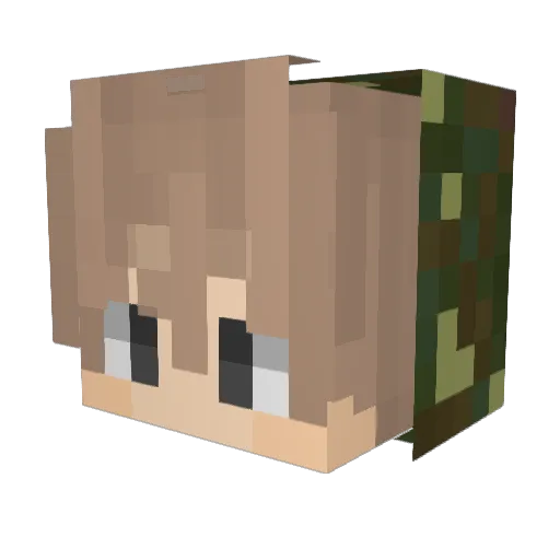 OnaH0le Minecraft avatar head, 3D render