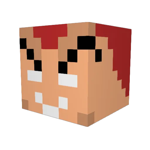 OnakinSkywalker Minecraft avatar head, 3D render