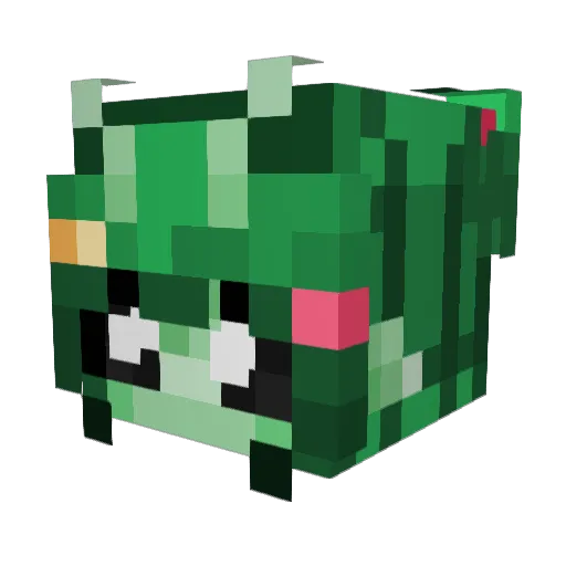 OnceUponAstori Minecraft avatar head, 3D render