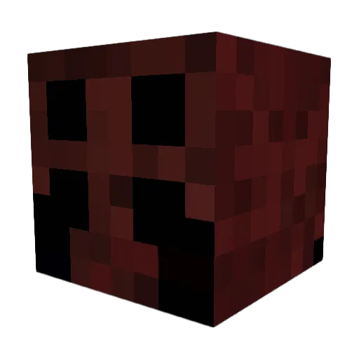 Ondra_OT Minecraft avatar head, 3D render