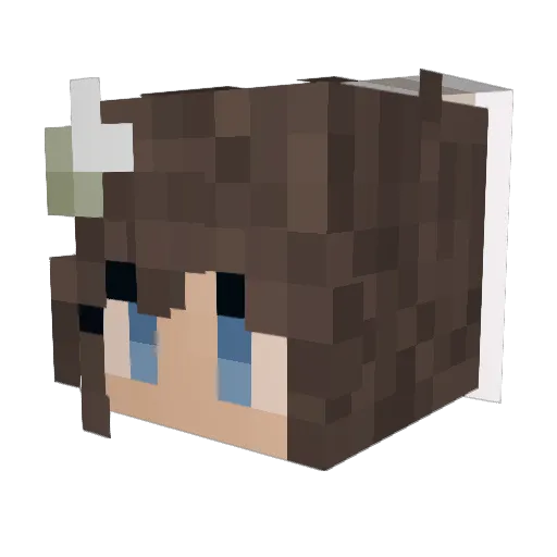 OneBadger3 Minecraft avatar head, 3D render