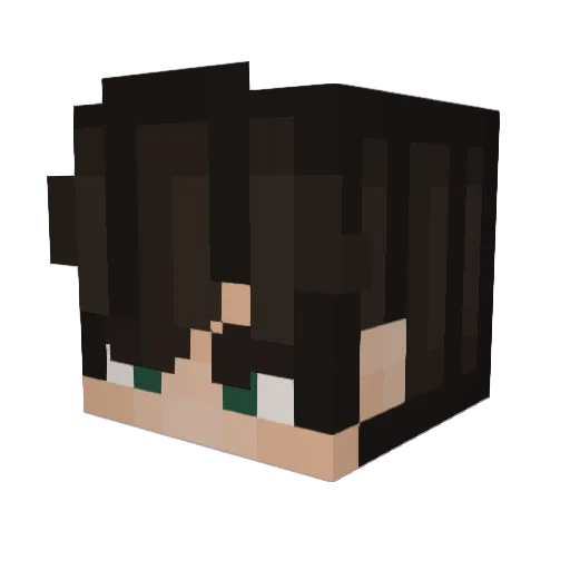 OneBigDerp Minecraft avatar head, 3D render
