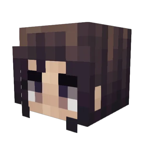 OneBraillecell Minecraft avatar head, 3D render