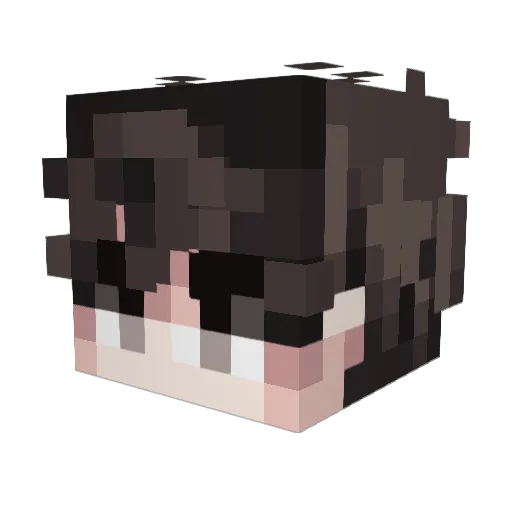OneCarLose Minecraft avatar head, 3D render