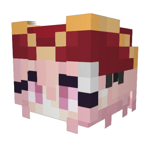 OneDime Minecraft avatar head, 3D render