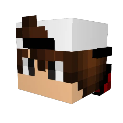 OneEyedPug3 Minecraft avatar head, 3D render