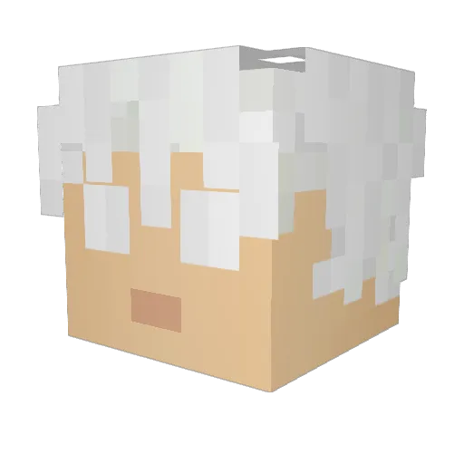 OneFox_ Minecraft avatar head, 3D render