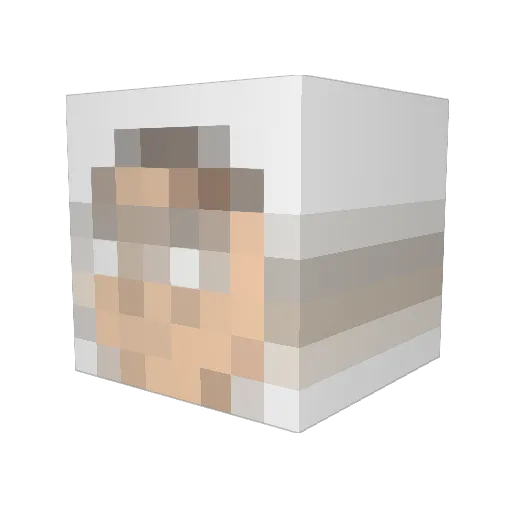 OneIDCat Minecraft avatar head, 3D render
