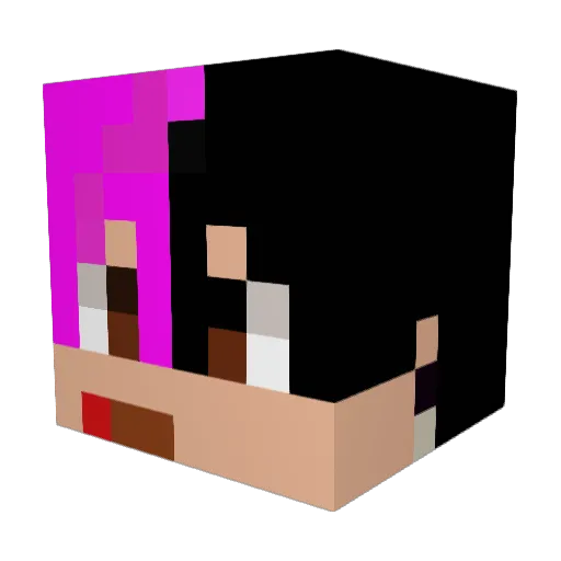 OneLuckyboy102 Minecraft avatar head, 3D render