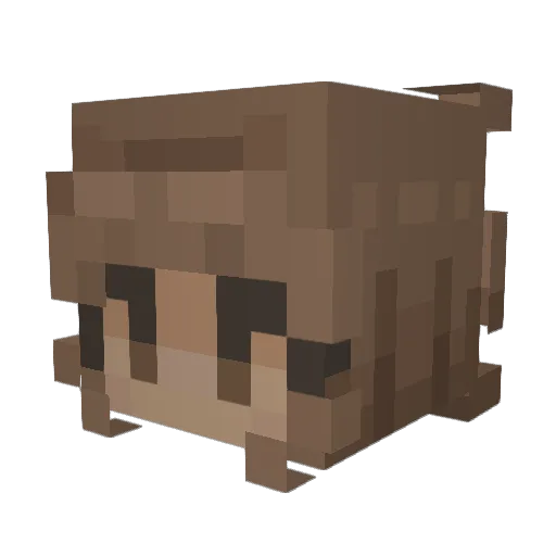 OneMoon578577166 Minecraft avatar head, 3D render
