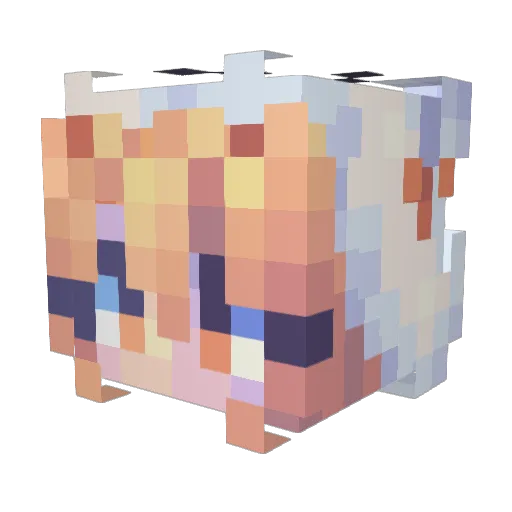 OneMoth_ Minecraft avatar head, 3D render