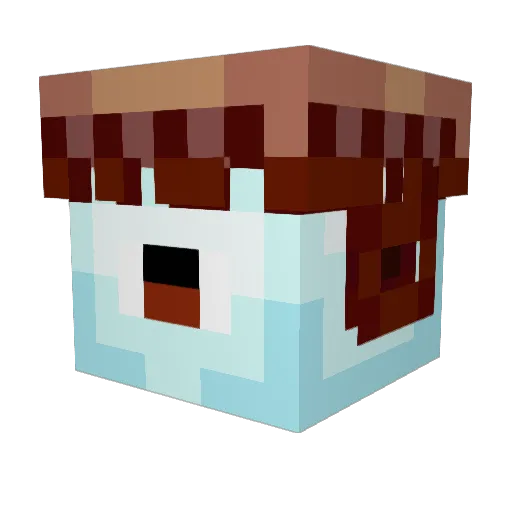 OneRandomNon Minecraft avatar head, 3D render