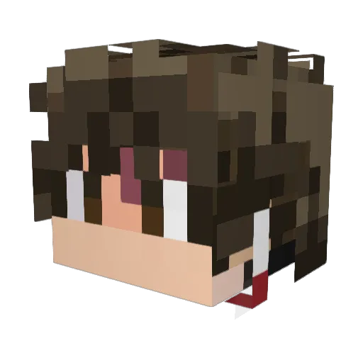 OneRayne420 Minecraft avatar head, 3D render