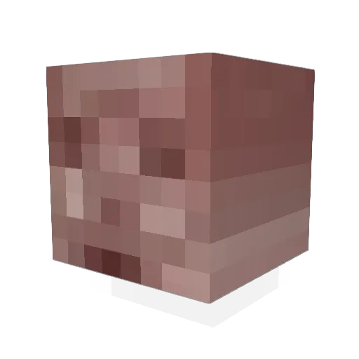 OneSipWill Minecraft avatar head, 3D render
