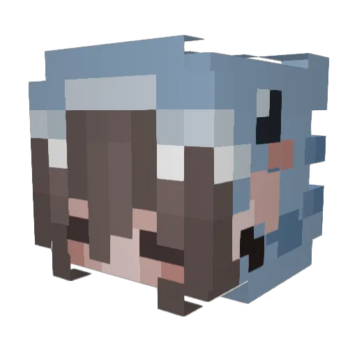 OneStarlitSky Minecraft avatar head, 3D render