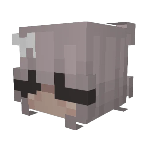 OneTickAnchors Minecraft avatar head, 3D render