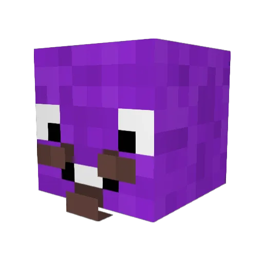 OneTimeISawABird Minecraft avatar head, 3D render