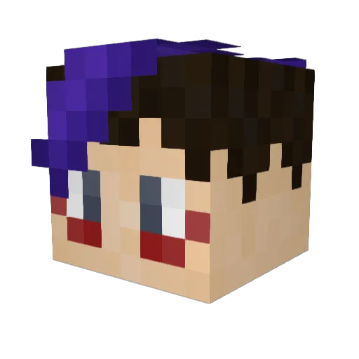 OneTwentyOneDuns Minecraft avatar head, 3D render