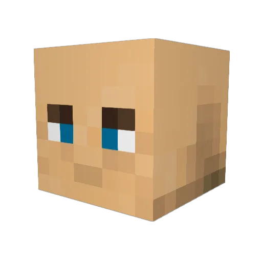 OneWildGuy Minecraft avatar head, 3D render