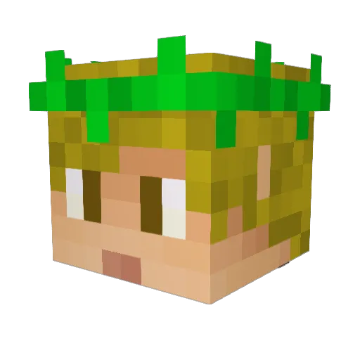One_Losh Minecraft avatar head, 3D render