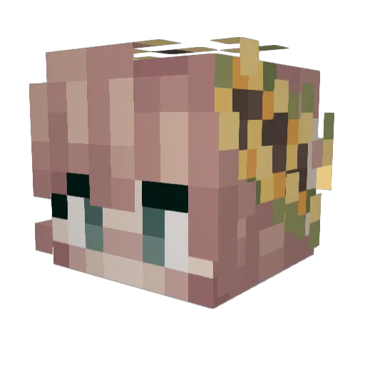 One_With_Owl Minecraft avatar head, 3D render