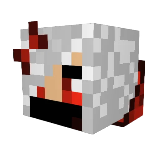 Onepiece2468 Minecraft avatar head, 3D render