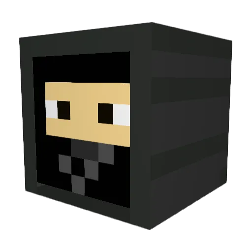Onezcool Minecraft avatar head, 3D render