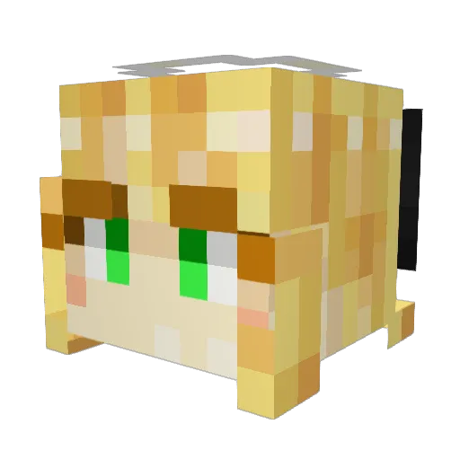 Onfa15 Minecraft avatar head, 3D render