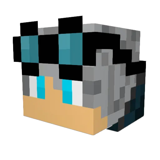Ongebruikt Minecraft avatar head, 3D render