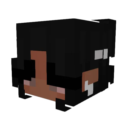 Oniichansiblings Minecraft avatar head, 3D render