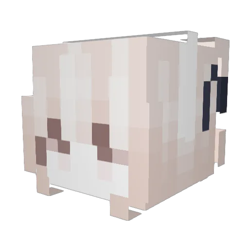 Onineko5607 Minecraft avatar head, 3D render