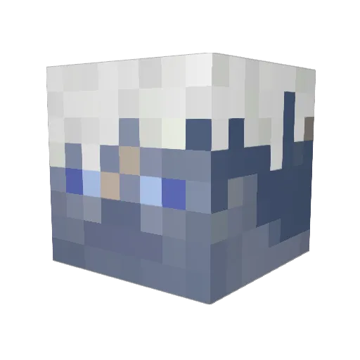 Onion999 Minecraft avatar head, 3D render