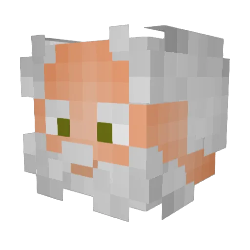 OnionBargeBandit Minecraft avatar head, 3D render