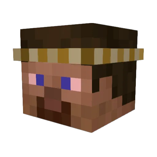 OnionFederal Minecraft avatar head, 3D render