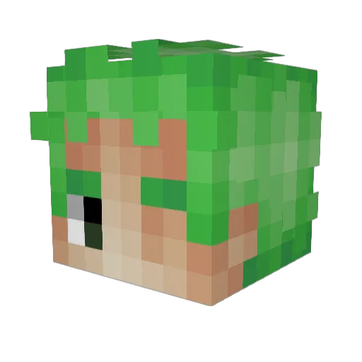 OnionKnight77 Minecraft avatar head, 3D render