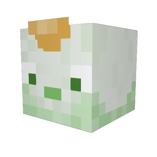Onion_Boy_ Minecraft avatar head, 3D render