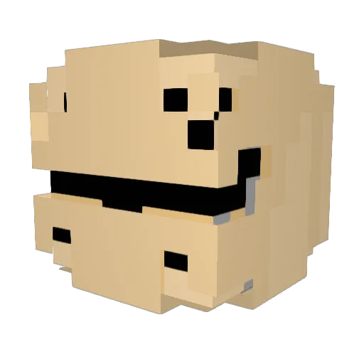 Onion_Dude Minecraft avatar head, 3D render