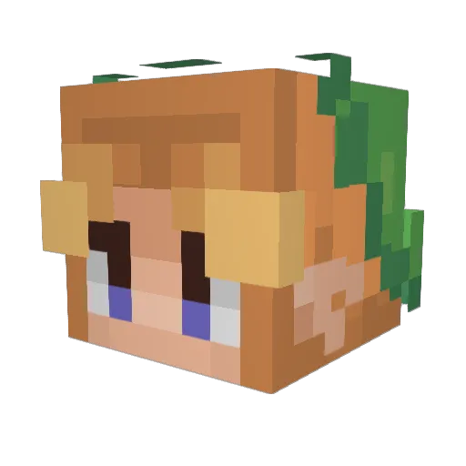 Onion_Funyun232 Minecraft avatar head, 3D render
