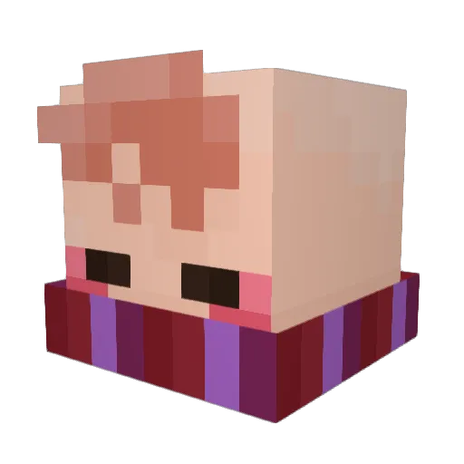 Onion_Legend Minecraft avatar head, 3D render