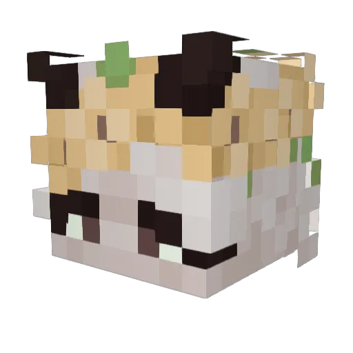 OnixTheCat Minecraft avatar head, 3D render