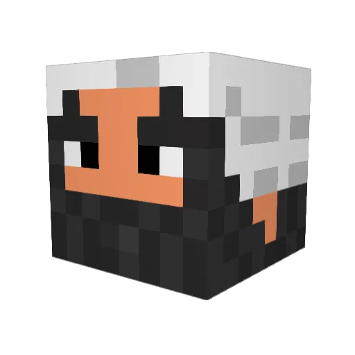 Onkel_Barbara Minecraft avatar head, 3D render