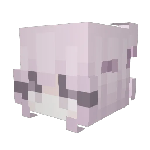 Onlineplate Minecraft avatar head, 3D render