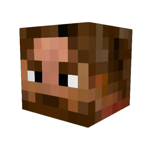 Onlineplayer8347 Minecraft avatar head, 3D render