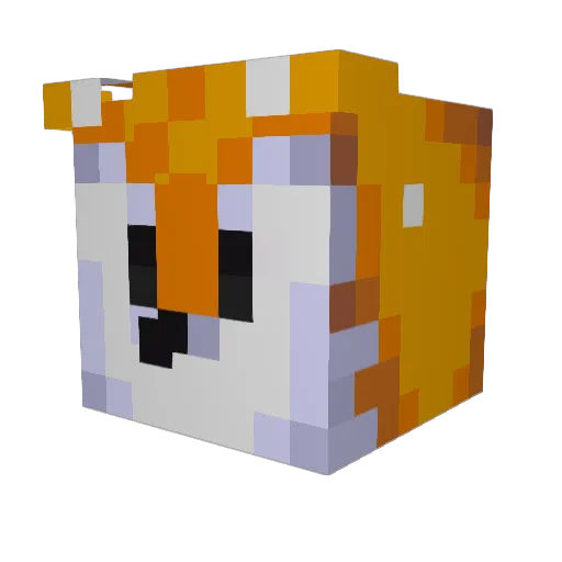 Only1Fox Minecraft avatar head, 3D render