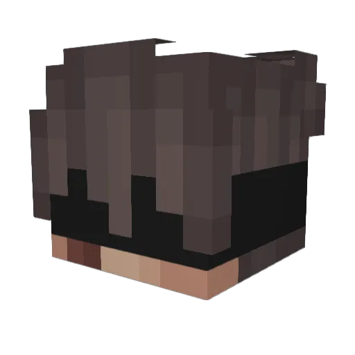 OnlyBlankStares Minecraft avatar head, 3D render