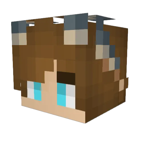 OnlyJaiden Minecraft avatar head, 3D render