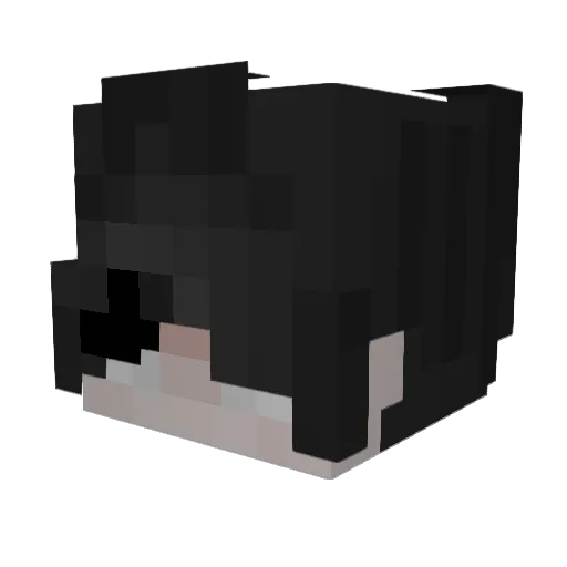 OnlyMTK Minecraft avatar head, 3D render