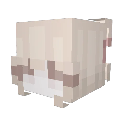 OnlyPequitas Minecraft avatar head, 3D render
