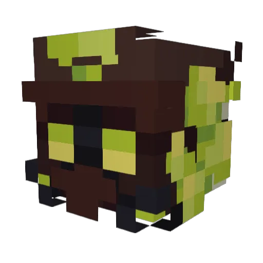 OnlySalt2971 Minecraft avatar head, 3D render