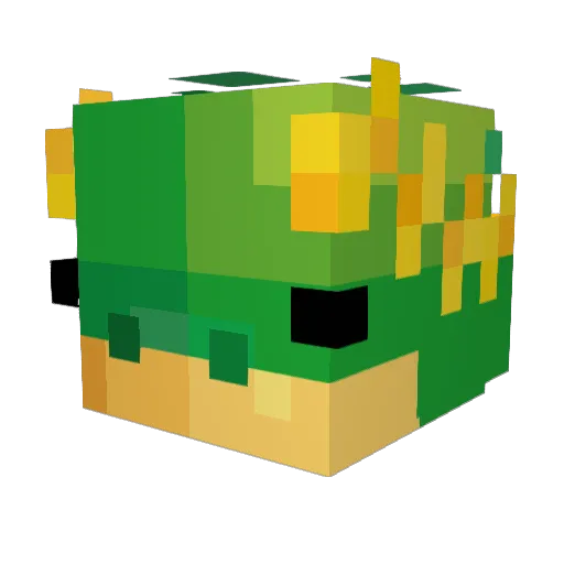 OnlyStagus Minecraft avatar head, 3D render